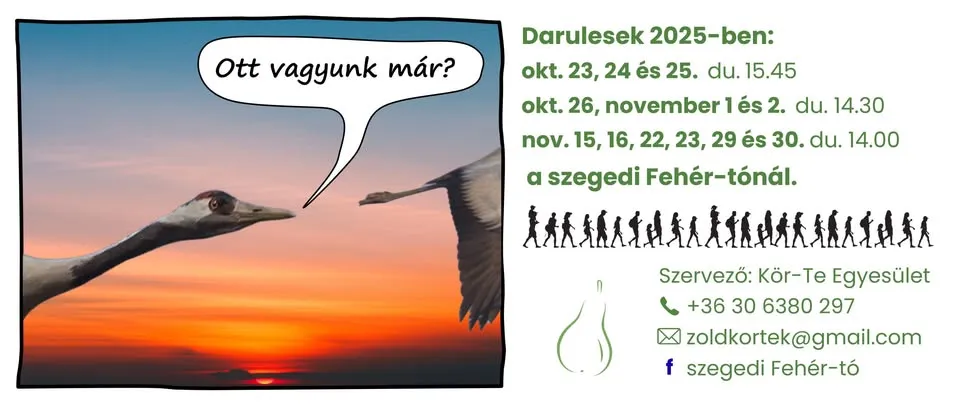 Darules a szegedi Fehér-tavon 10.23.